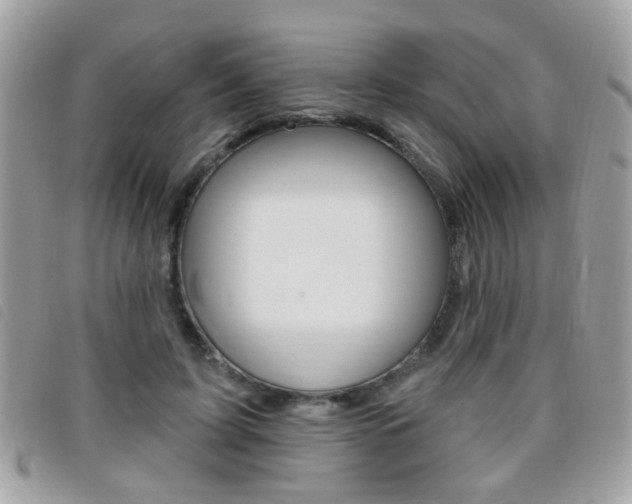 X0000095900595200801110806