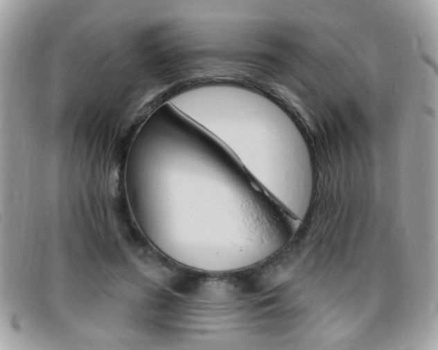 X0000095900596200801110806
