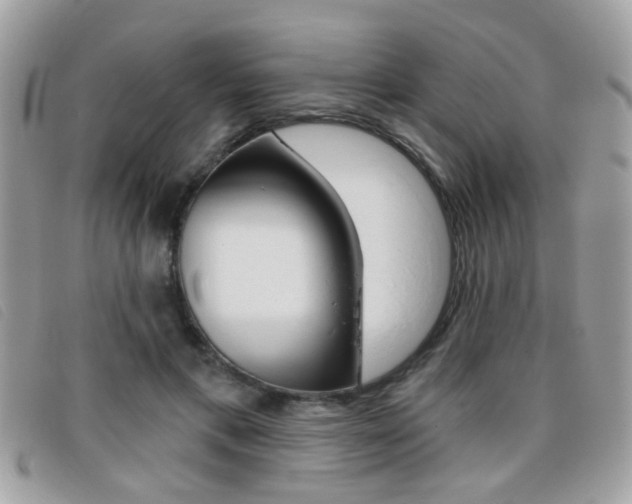 X0000095900597200801110806