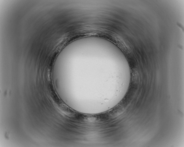 X0000095900598200801110806