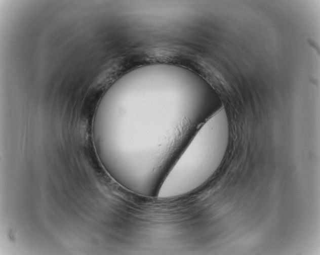 X0000095900599200801110806