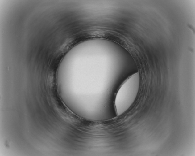 X0000095900600200801110806