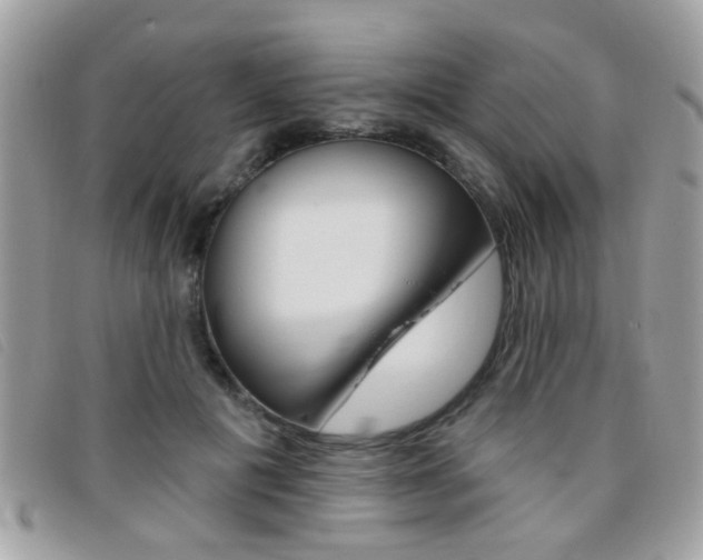 X0000095900601200801110806