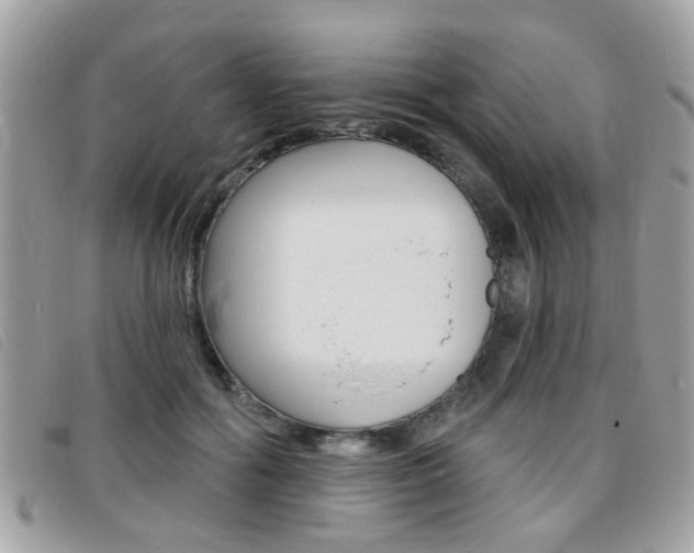 X0000095900602200801110806