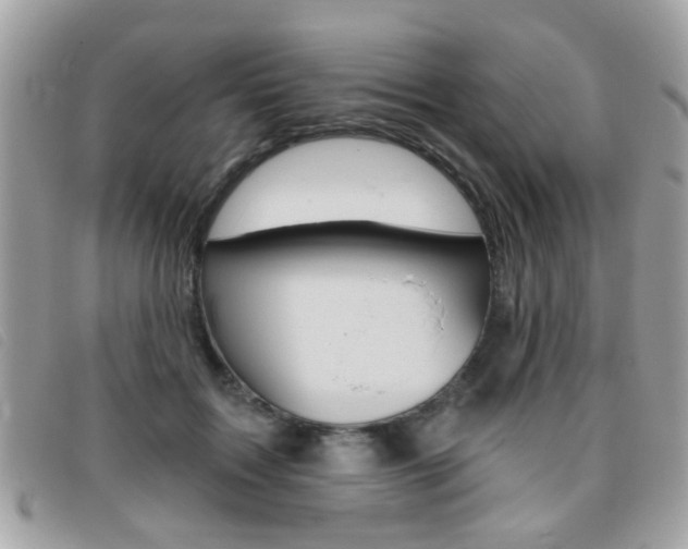 X0000095900603200801110806