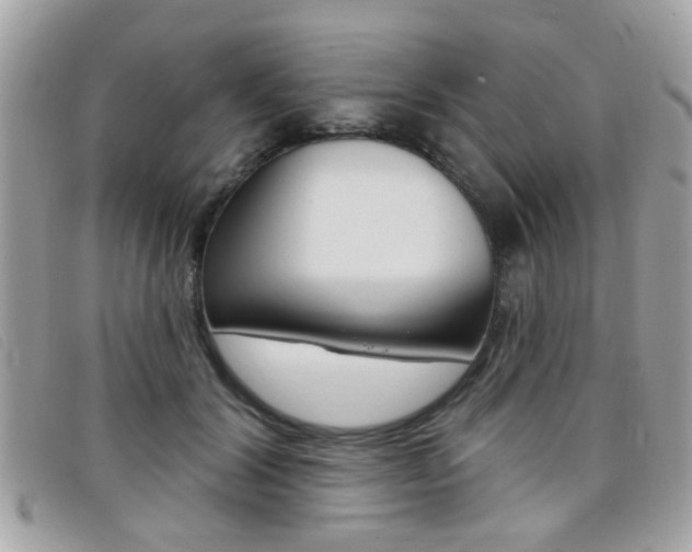 X0000095900604200801110806
