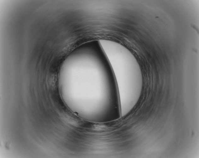 X0000095900605200801110806
