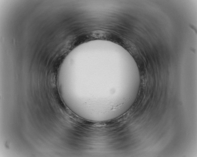 X0000095900606200801110806