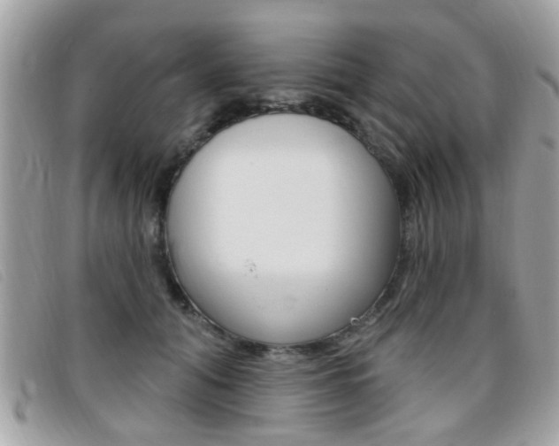 X0000095900608200801110806