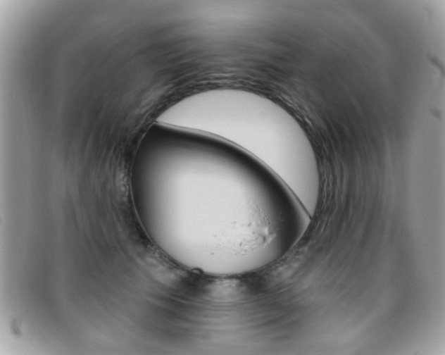 X0000095900609200801110806