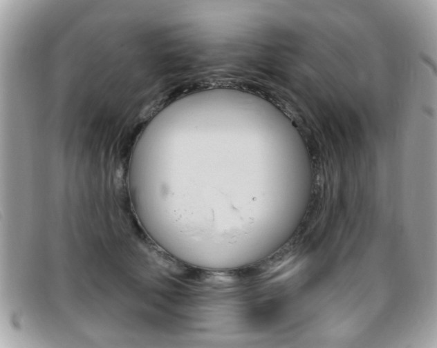 X0000095900610200801110806