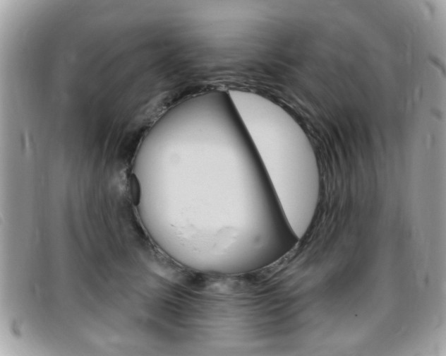 X0000095900611200801110806