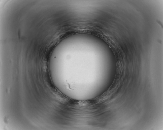 X0000095900612200801110806