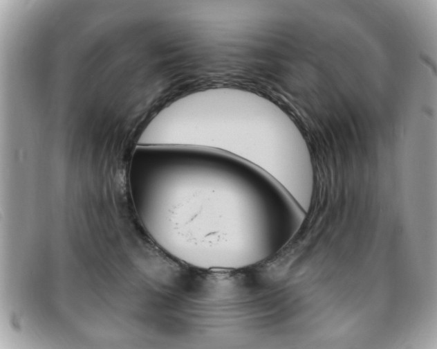 X0000095900613200801110806