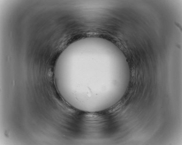 X0000095900614200801110806