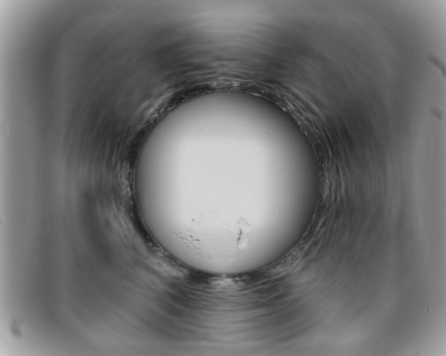 X0000095900616200801110806
