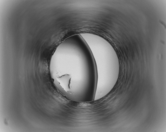 X0000095900617200801110806