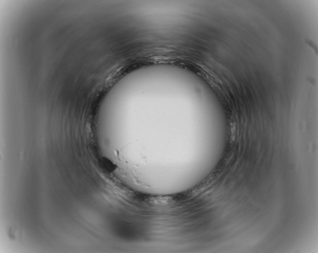 X0000095900618200801110806
