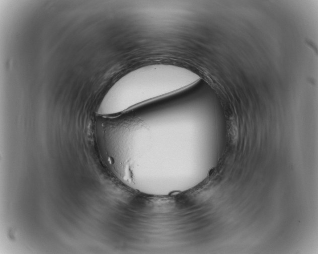 X0000095900619200801110806
