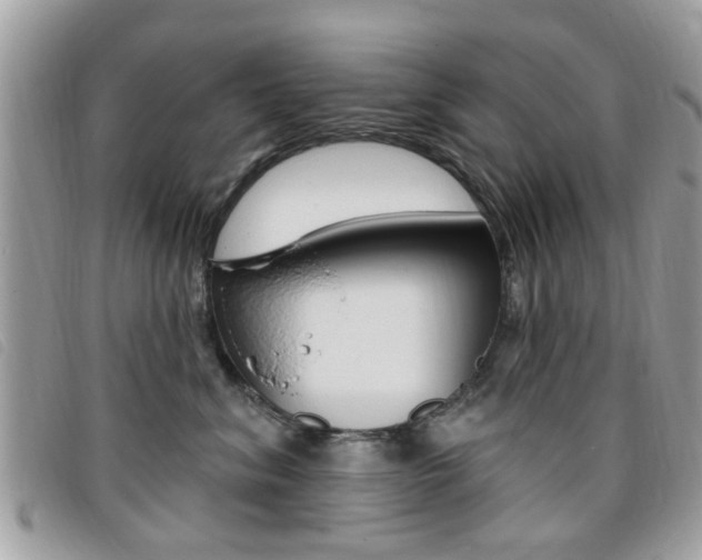 X0000095900620200801110806