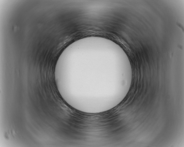 X0000095900621200801110806