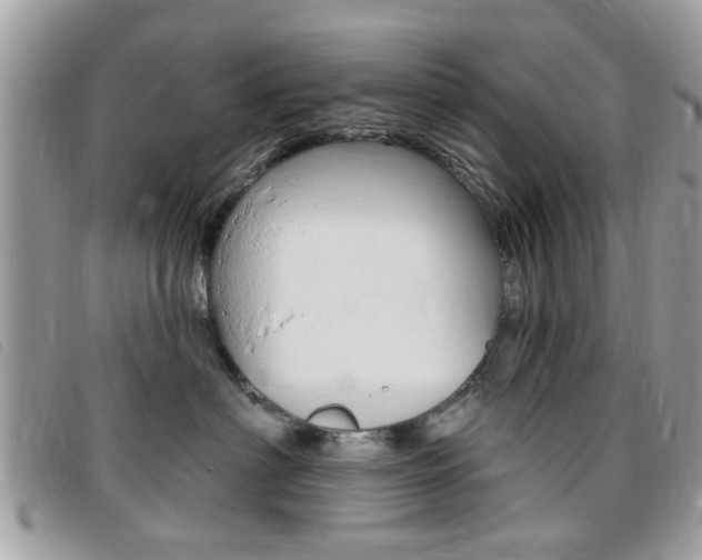 X0000095900622200801110806