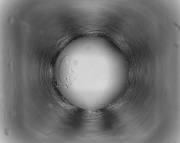 X0000095900623200801110806