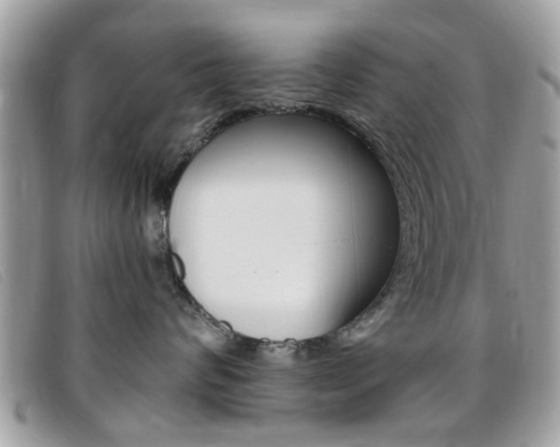 X0000095900624200801110806