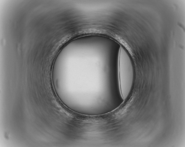 X0000095900625200801110805