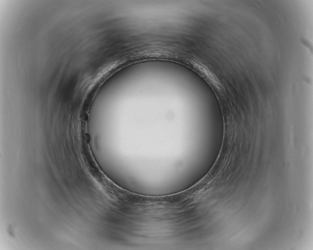 X0000095900626200801110805