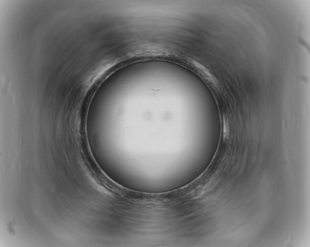X0000095900627200801110805