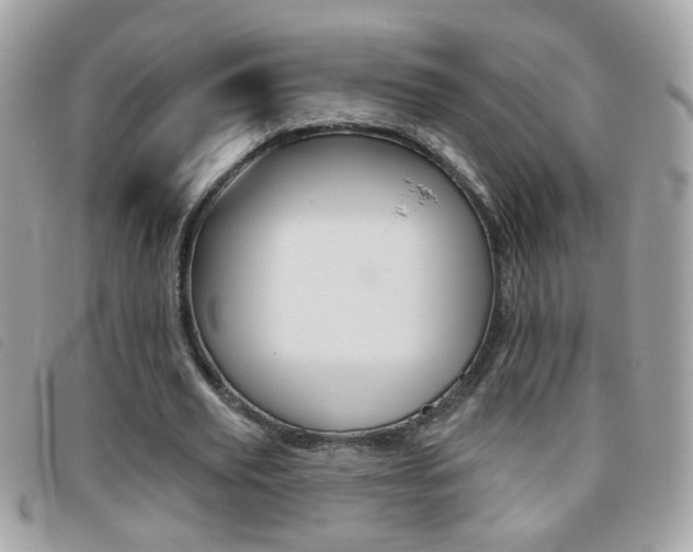 X0000095900629200801110805