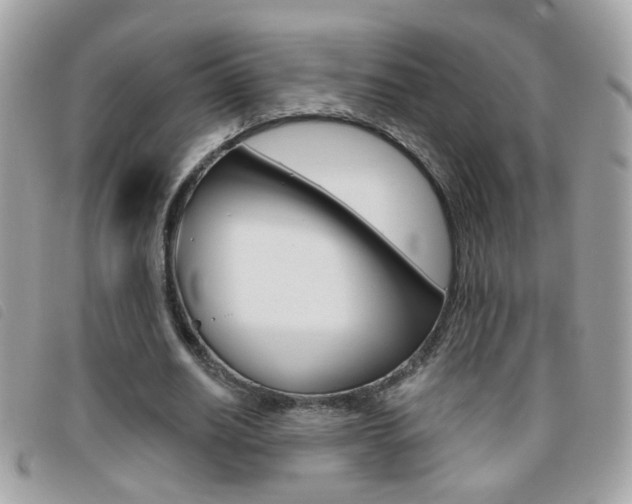 X0000095900630200801110805