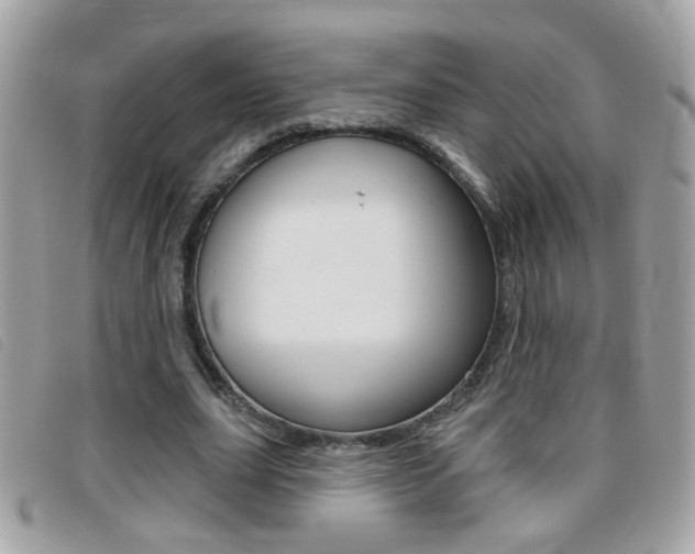 X0000095900631200801110805