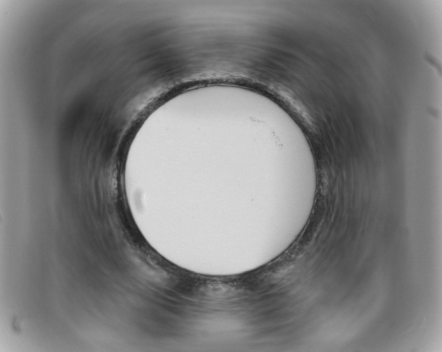 X0000095900632200801110805