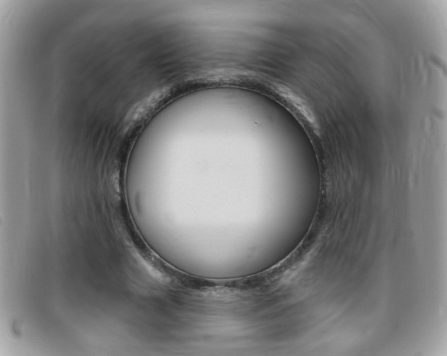 X0000095900633200801110805