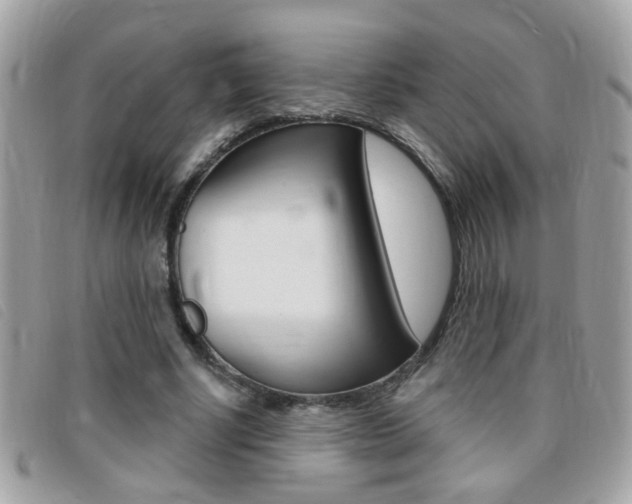X0000095900634200801110805