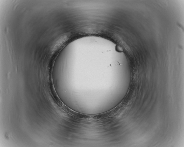 X0000095900635200801110805