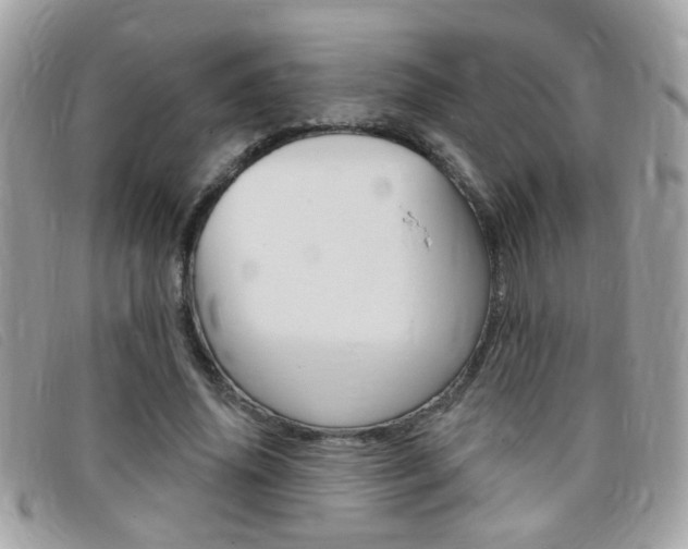 X0000095900636200801110805