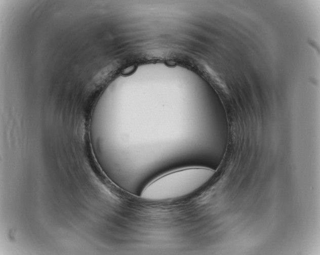 X0000095900637200801110805