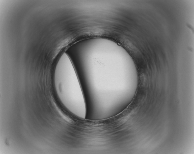 X0000095900638200801110805