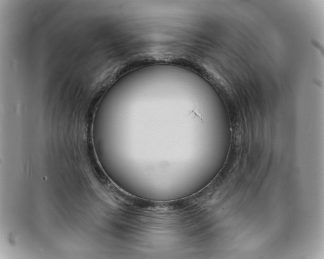 X0000095900639200801110805