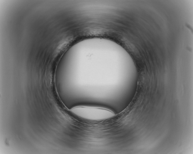 X0000095900640200801110805