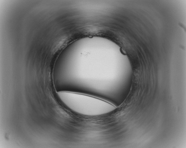 X0000095900642200801110805