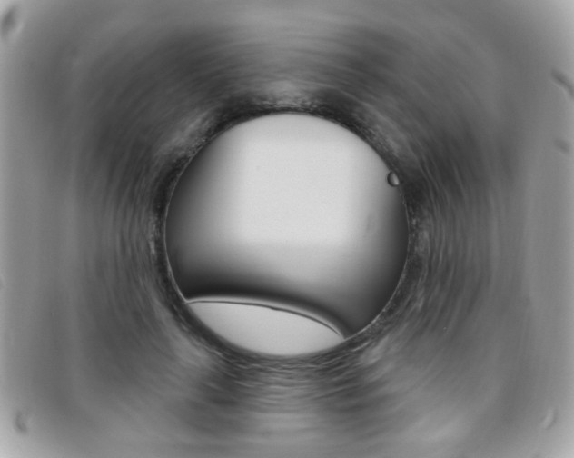 X0000095900643200801110805