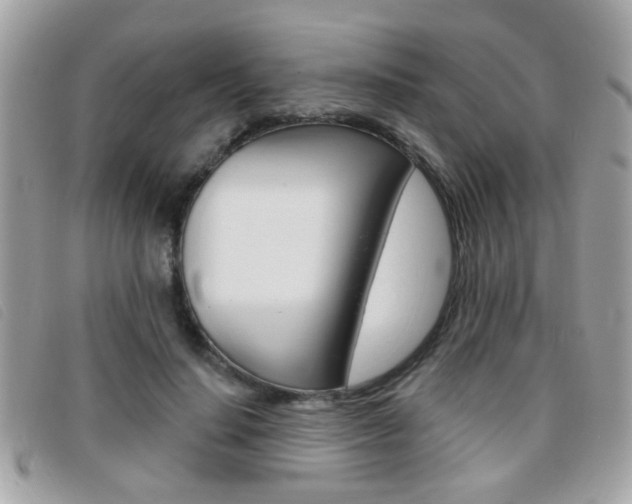 X0000095900644200801110805