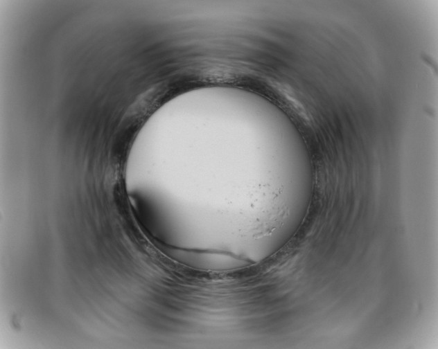 X0000095900645200801110806