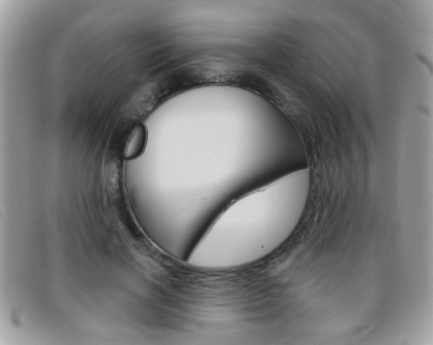 X0000095900646200801110806