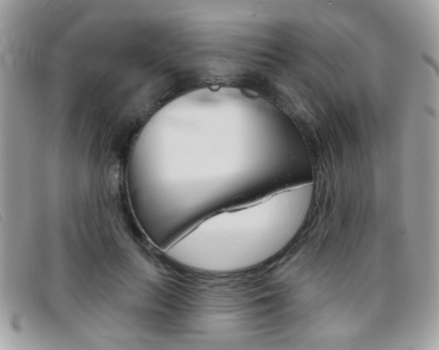 X0000095900647200801110806