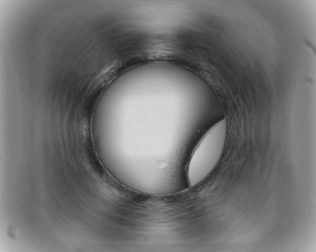 X0000095900648200801110806